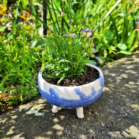 Blue and White Planter